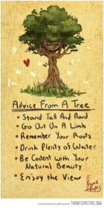 advicefromatree